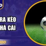 Cách Ra Kèo Của Nhà Cái – Bí Mật Phía Sau Tỷ Lệ Hấp Dẫn