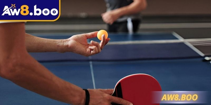 Luật Chơi Bóng Bàn Aw8 - Hướng Dẫn Cách Tham Gia Chuẩn 2 Các quy tắc bắt buộc trong luật chơi bóng bàn