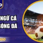 Thuật Ngữ Cá Cược Bóng Đá – Giải Mã Ngôn Ngữ Của Dân Chuyên