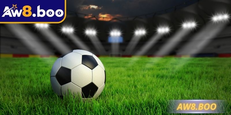 Tỷ Lệ Kèo Malaysia – Hướng Dẫn Cách Áp Dụng Chuẩn Xác   2 Tỷ lệ kèo Malaysia với cách hiển thị đơn giản